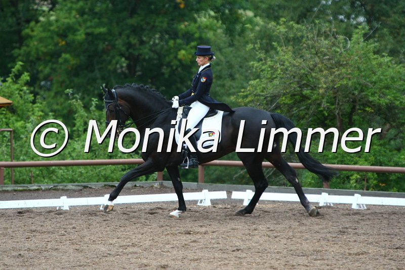 109M1306_Don Vito_Dressur S_St. Georg.JPG